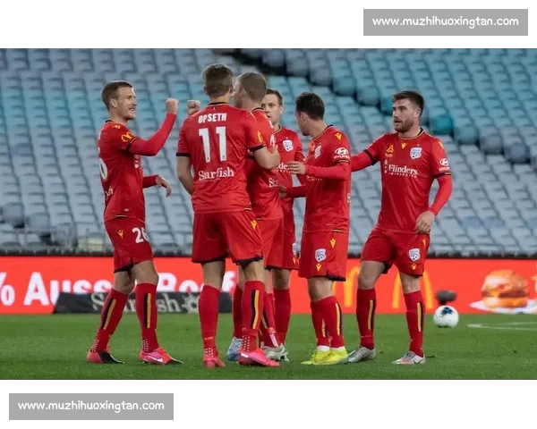 足球比分哪里看最全渠道推荐实时赛果数据解析指南平台权威对比技巧 足球比分哪里看最全渠道推荐实时赛果数据解析指南平台权威对比技巧