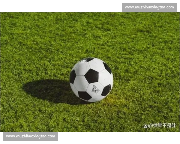 高清足球直播PC版免费在线观看畅享全球赛事精彩瞬间 - 副本 (14) - 副本 - 副本 - 副本 - 副本