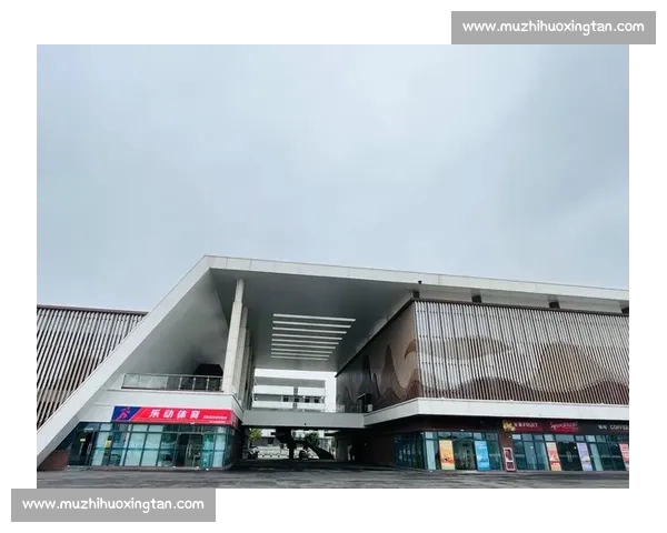 综合体育平台入口一站式服务助力全民健身与运动体验升级