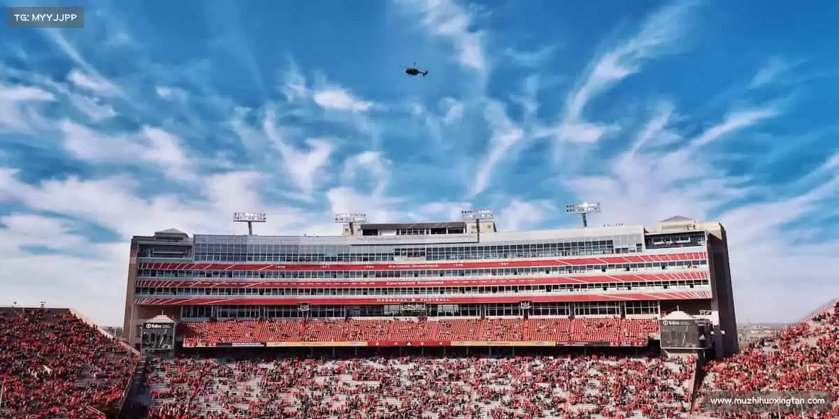 行业领先的理由